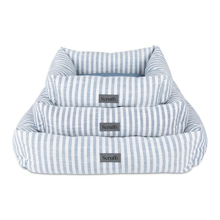 Coastal Boxbett