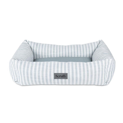 Coastal Boxbett
