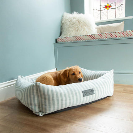 Coastal Boxbett