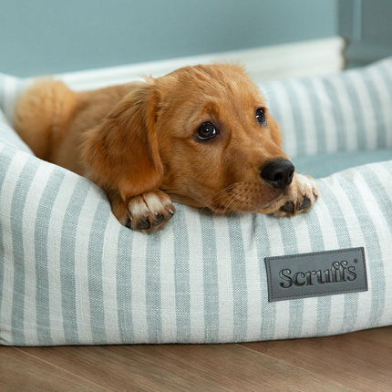 Coastal Boxbett