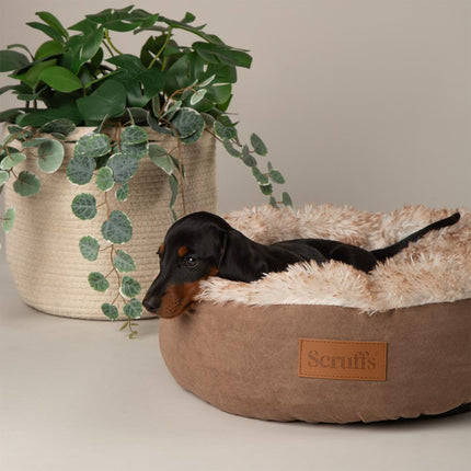 Display - Slumber Cat Bed - 24 stuks