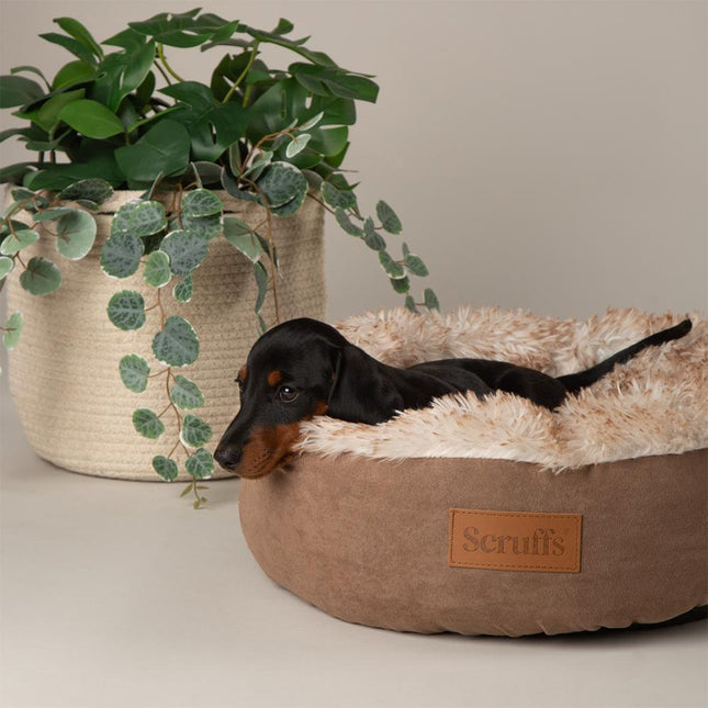Display - Slumber Cat Bed - 24 stuks