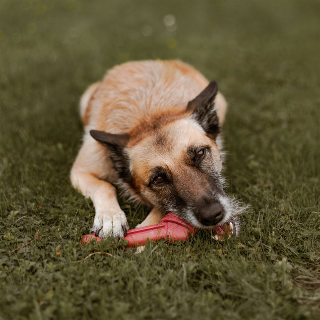 Bam-Bones - Plant-Based Knotted Bone