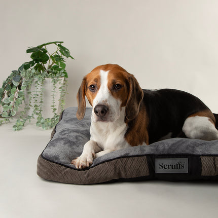 Chester Mattress