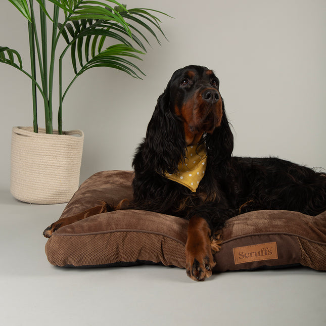 Chester Mattress