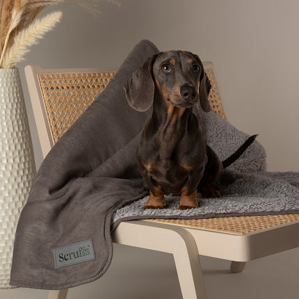 Cosy Blanket
