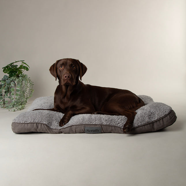 Cosy Mattress