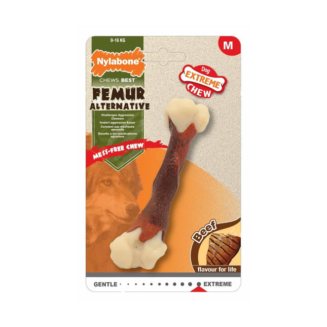 Extreme Chew Femur Rindfleisch