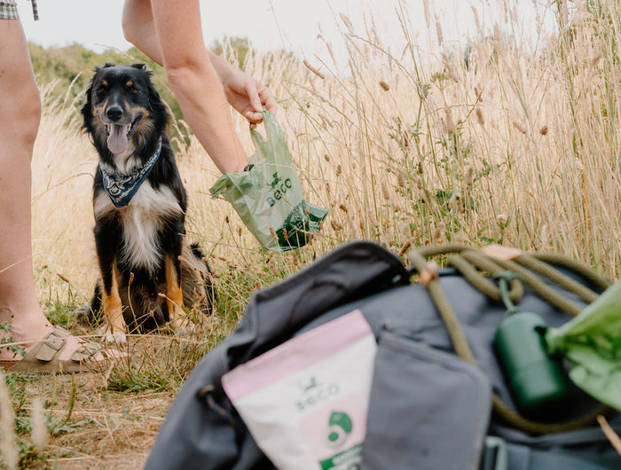 <h3> Groß, stark und auslaufsicher</h3>