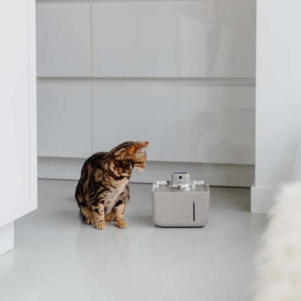 AURA 3.5 L Draadloze drinkfontein