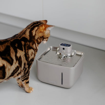 AURA 3.5 L Draadloze drinkfontein