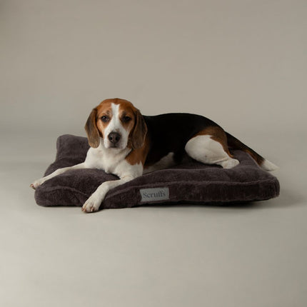 Display - Adelaide Mattress - 18 stuks