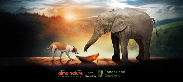 <h4>Almo Nature: Marktleider met een Missie</h4>