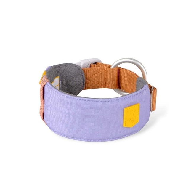 Alpha 360 Collar