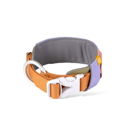 Alpha 360 Collar