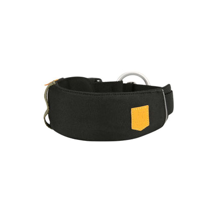 Alpha 360 Collar