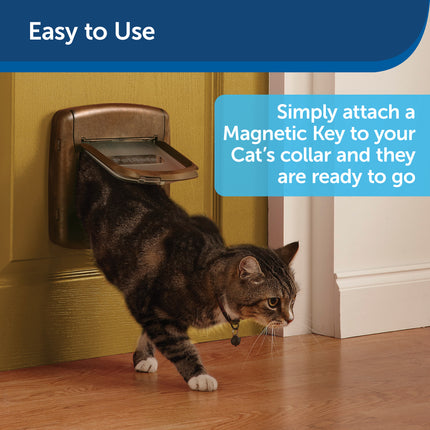 Staywell® Magnetic Collar Key