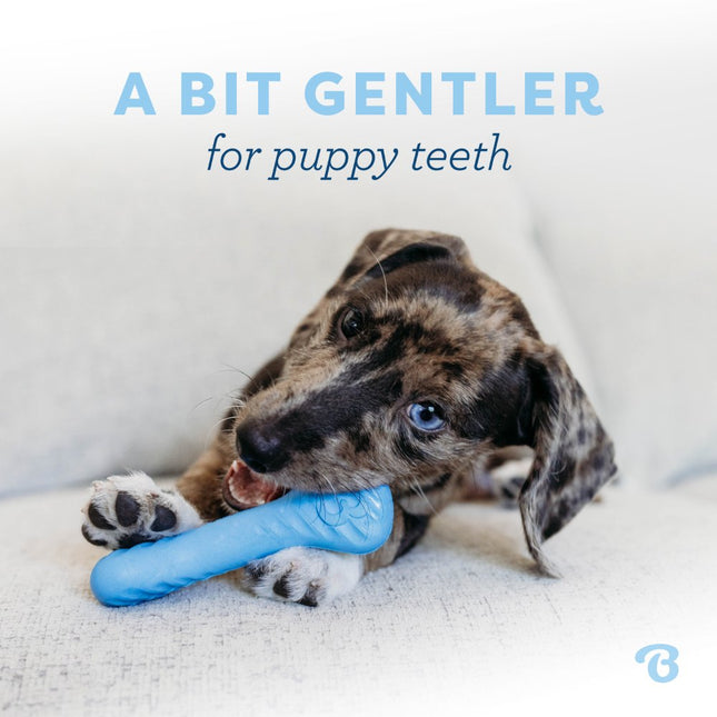 Puppy 2-Pack Rubber Bone & Wishbone