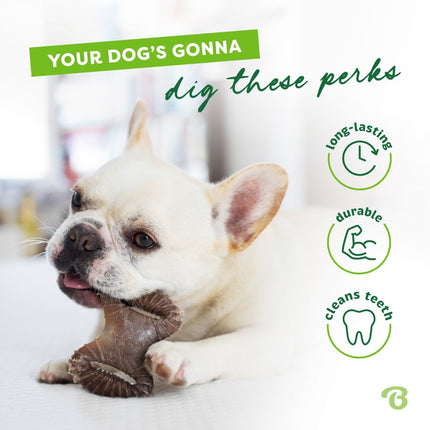 Tiny 2-Pack Dental Chew & Wishbone