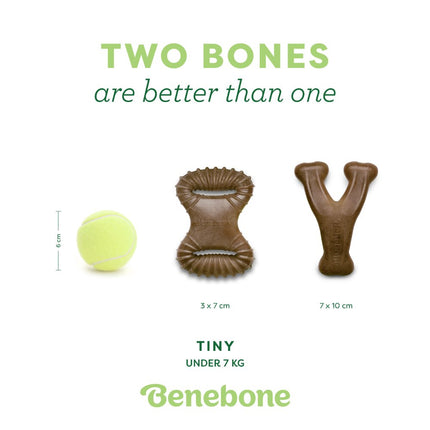 Tiny 2-Pack Dental Chew & Wishbone