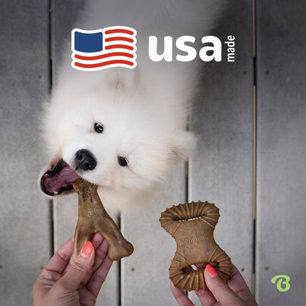 Tiny 2-Pack Dental Chew & Wishbone