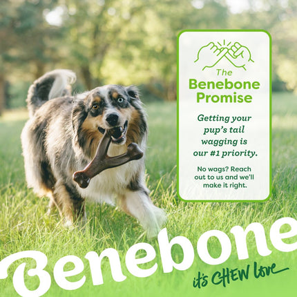 Tiny 2-Pack Dental Chew & Wishbone