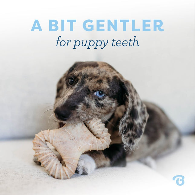 Puppy 2-Pack Dental Chew & Wishbone