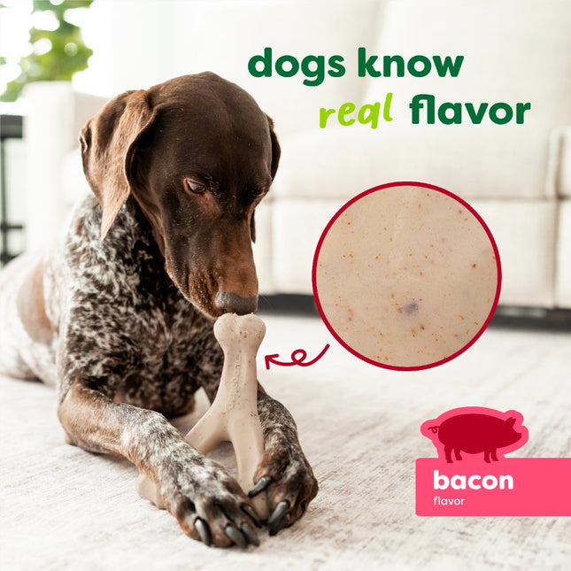 Green Wishbone Bacon Eco Bone
