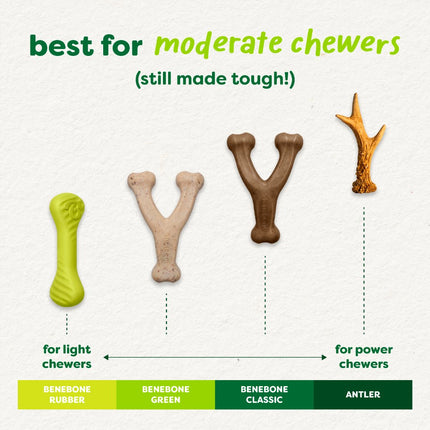 Green Wishbone Bacon Eco Bone
