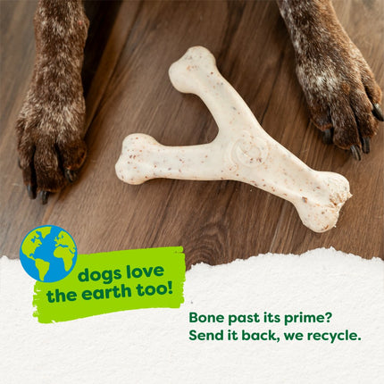 Green Wishbone Bacon Eco Bone