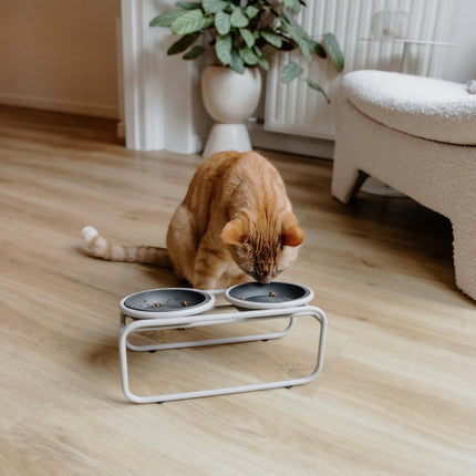 BUTLER Katzenfutterständer