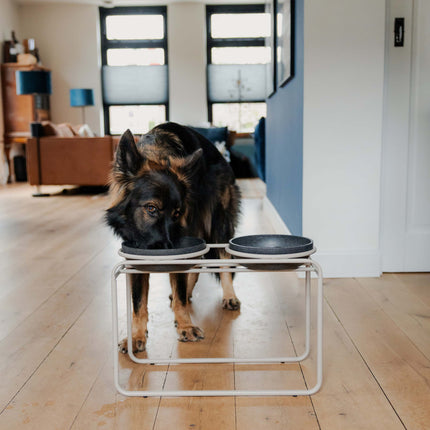 BUTLER Voerbakstandaard voor honden