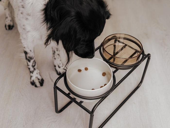 <h2>District 70 Dine-Konzept</h2>