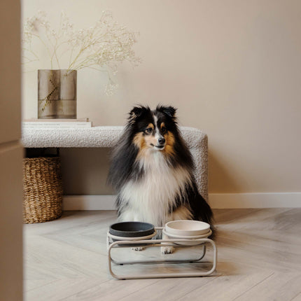 BUTLER Voerbakstandaard voor honden