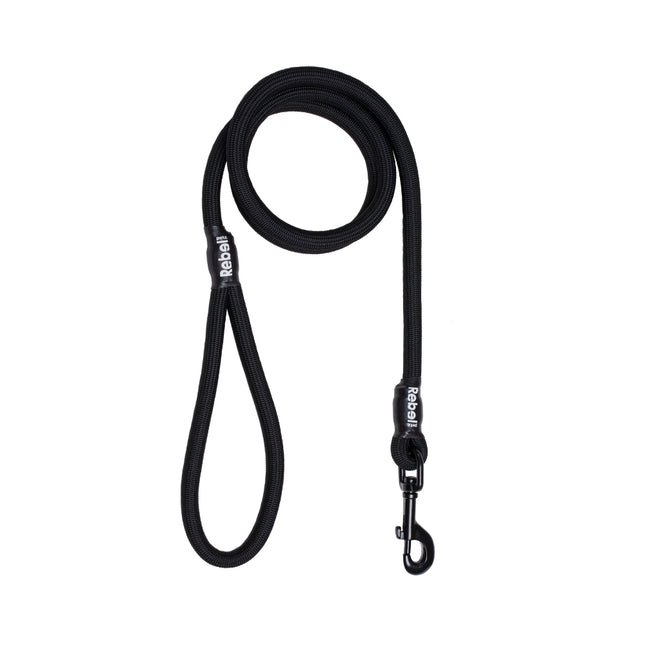 Basic Leash