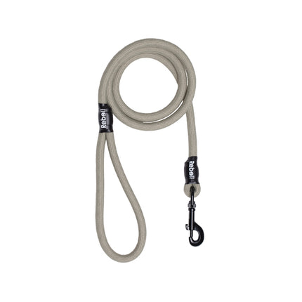 Basic Leash
