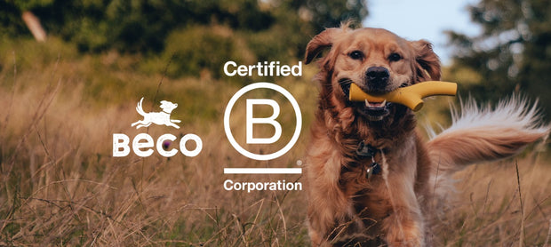 <h4>De kracht van B-Corps in deze branche</h4>