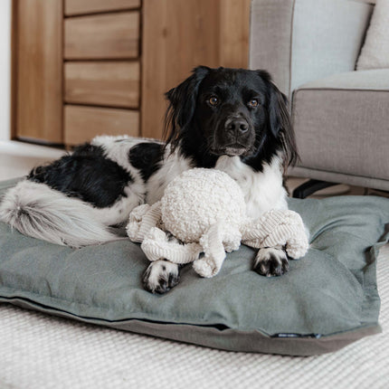 CLASSIC Hondenkussen