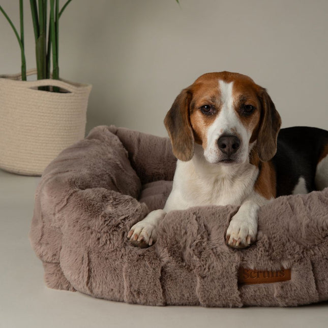 Cambridge Box Bed