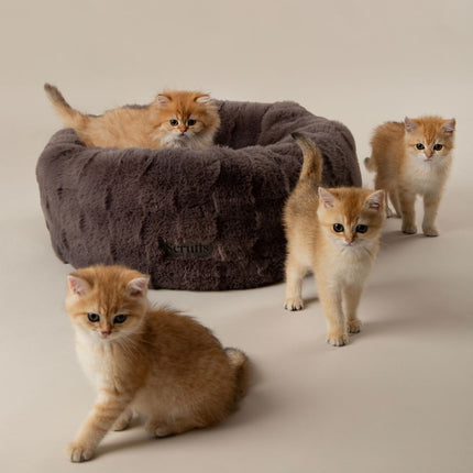 Cambridge Cat Bed