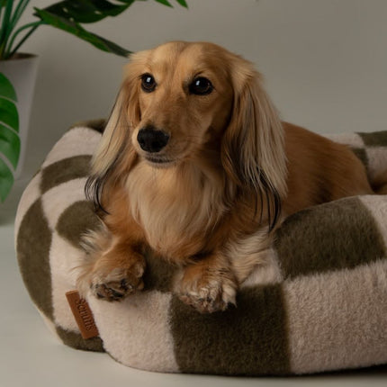 Checkerboard Box Bed