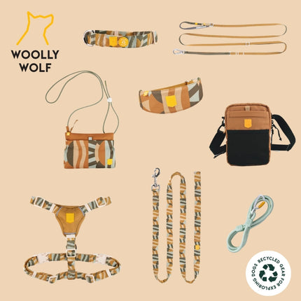 Cloudbeam Soft Martingale Collar