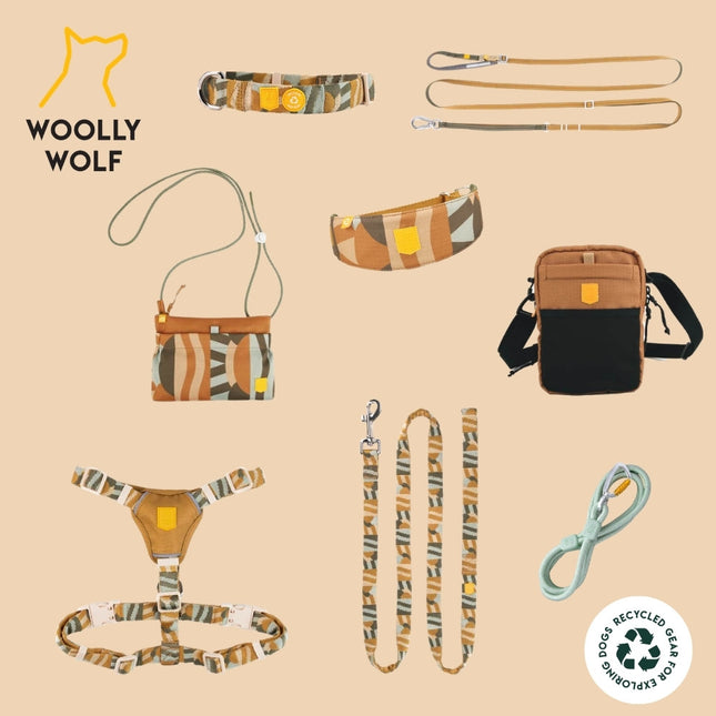 Cloudbeam Leash