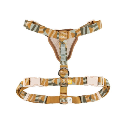 Cloudbeam Harness