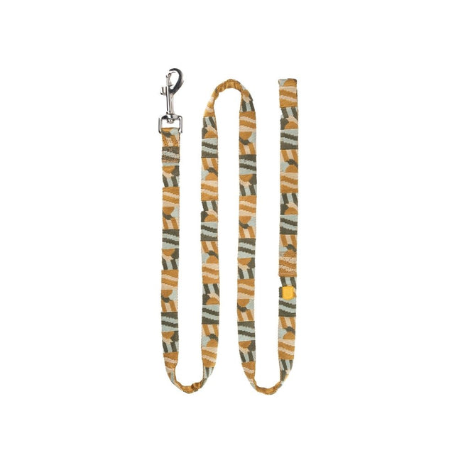 Cloudbeam Leash