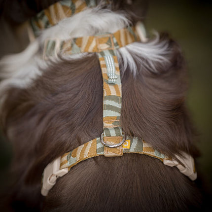 Cloudbeam Harness