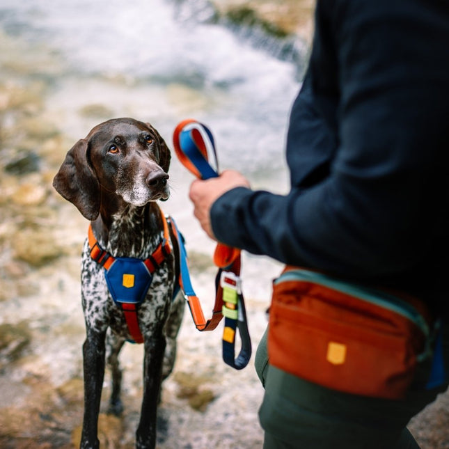 Color Block Multi-use Leash