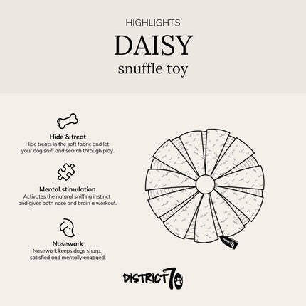 DAISY