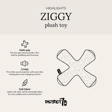 ZIGGY