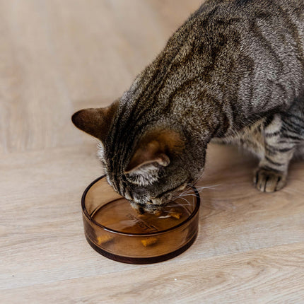 DAWN - Glazen voerbak voor katten